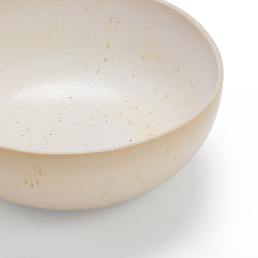 Alfredo Speckled Stoneware Set of 4 Cereal Bowls - DUSK