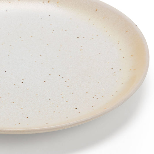 Alfredo Speckled Stoneware Set of 4 Dinner Plates - DUSK