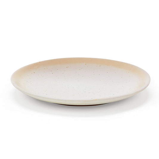 Alfredo Speckled Stoneware Set of 4 Dinner Plates - DUSK