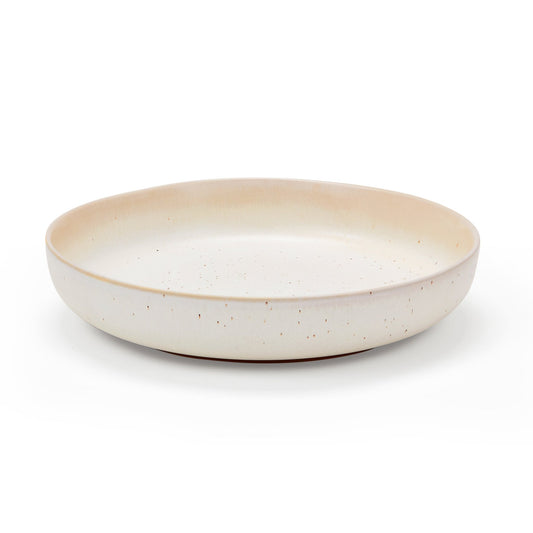 Alfredo Speckled Stoneware Set of 4 Pasta Bowls - DUSK