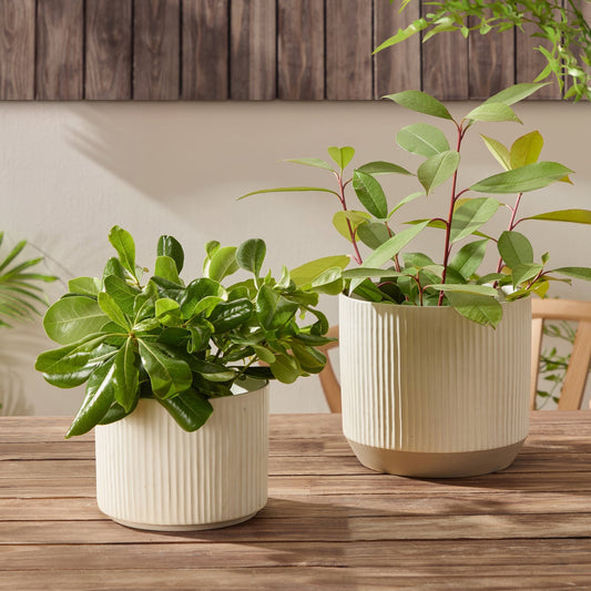 Flora Ribbed Clay Plant Pot - White - DUSK