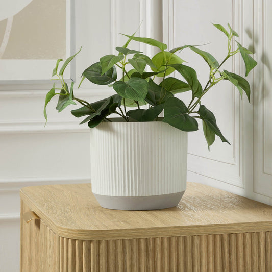 Flora Ribbed Clay Plant Pot - White - DUSK