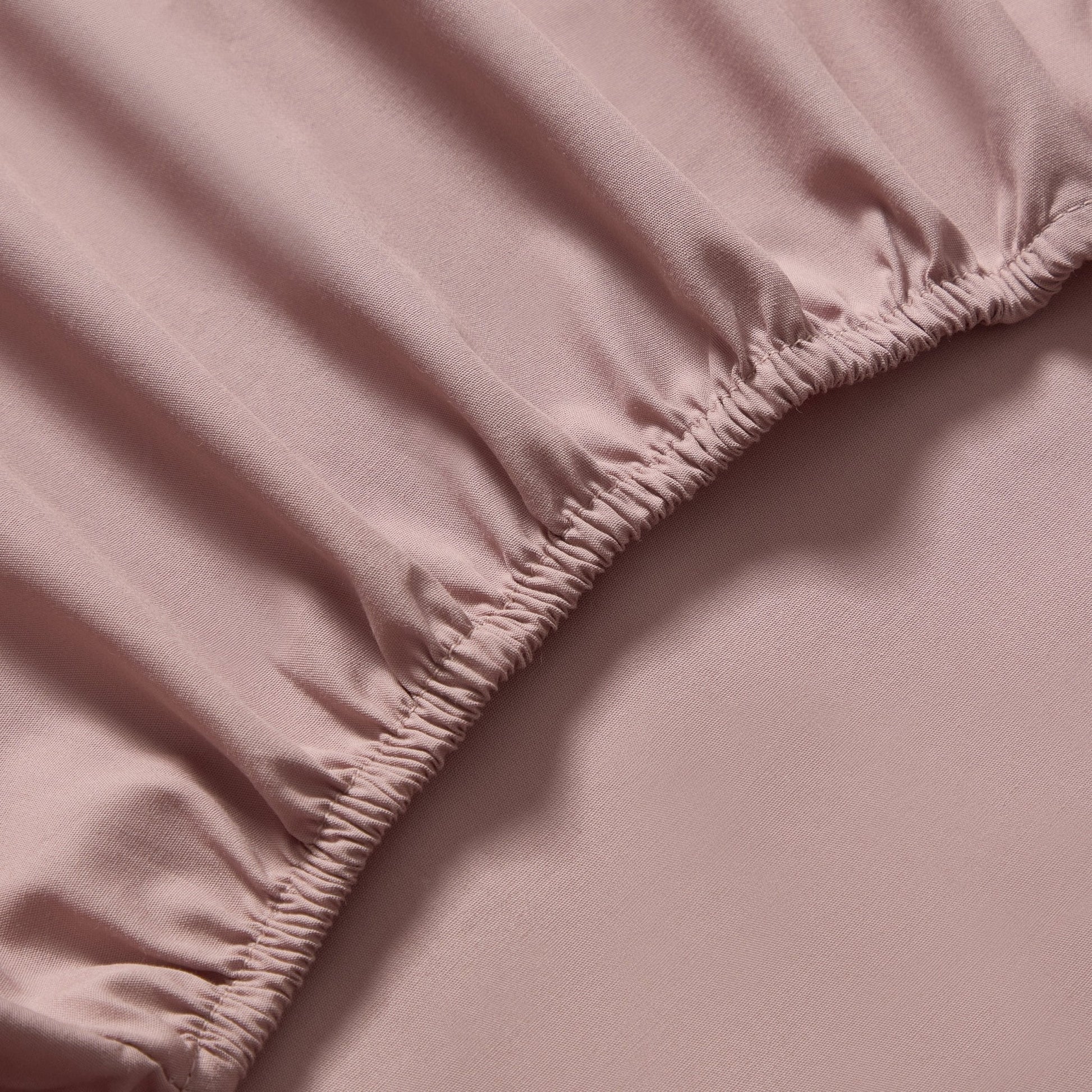 200 Thread Count Plain - Dye Fitted Sheet - Blush - DUSK