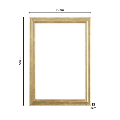 Dionne Traditional Rectangle 70x100cm Mirror - Antique Brass
