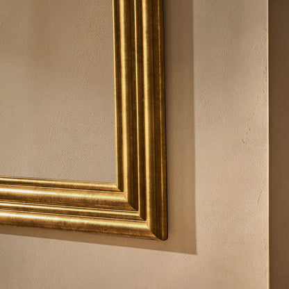 Dionne Traditional Rectangle 70x100cm Mirror - Antique Brass