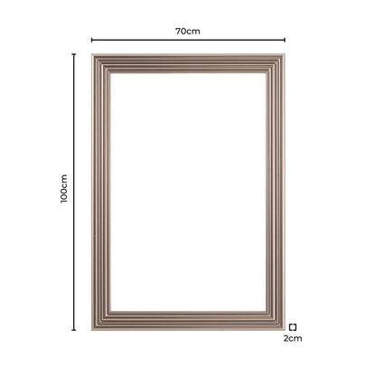 Dionne Traditional Rectangle  70x100cm Mirror - Nickel