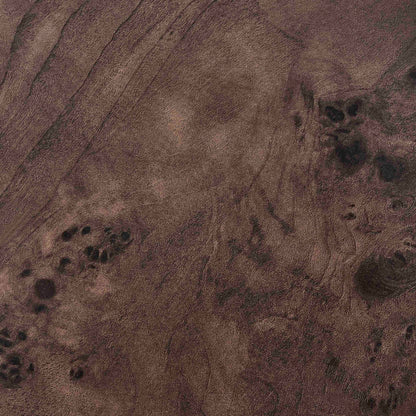 Aleyna Coffee Table - Dark Burl - DUSK