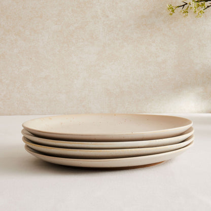 Alfredo Speckled Stoneware Set of 4 Dinner Plates - DUSK