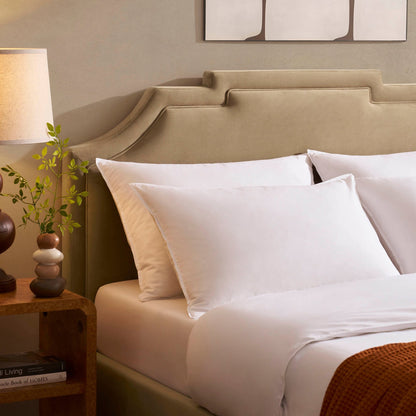 Delphi Ottoman Storage Bed - Latte - DUSK
