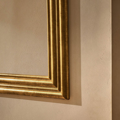 Dionne Traditional Rectangle 70x100cm Mirror - Antique Brass - DUSK