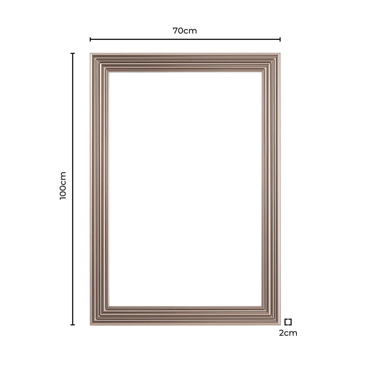 Dionne Traditional Rectangle 70x100cm Mirror - Nickel - DUSK