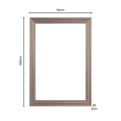 Dionne Traditional Rectangle 70x100cm Mirror - Nickel - DUSK