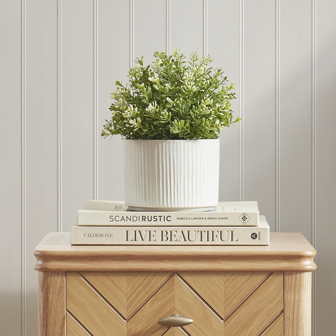 Flora Ribbed Clay Plant Pot - White - DUSK