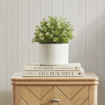 Flora Ribbed Clay Plant Pot - White - DUSK