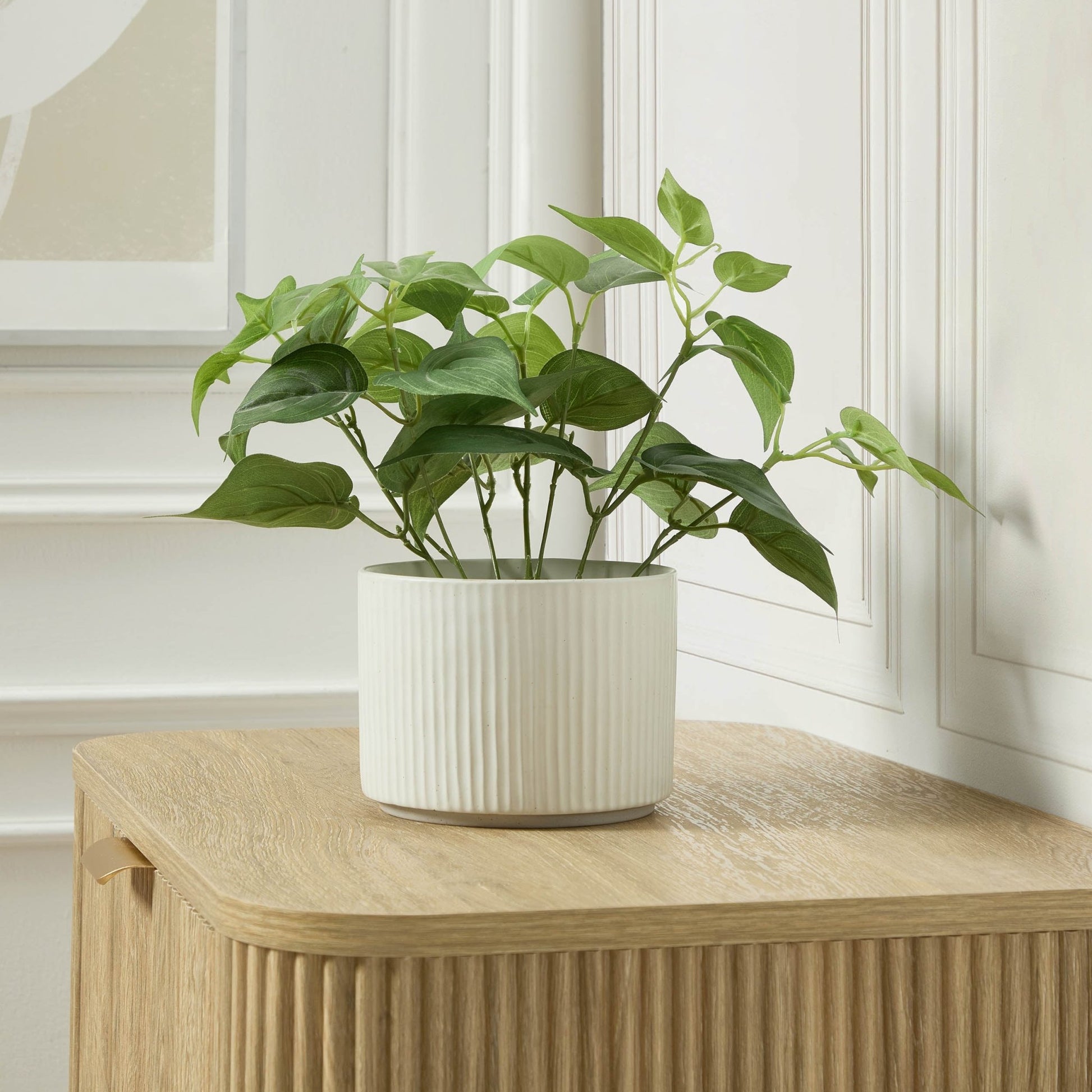 Flora Ribbed Clay Plant Pot - White - DUSK