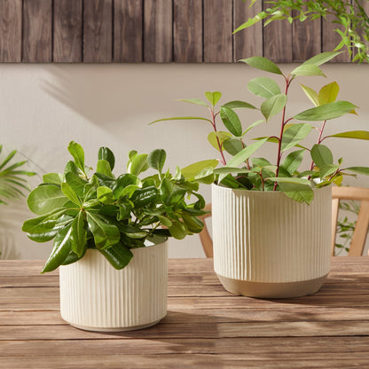 Flora Ribbed Clay Plant Pot - White - DUSK