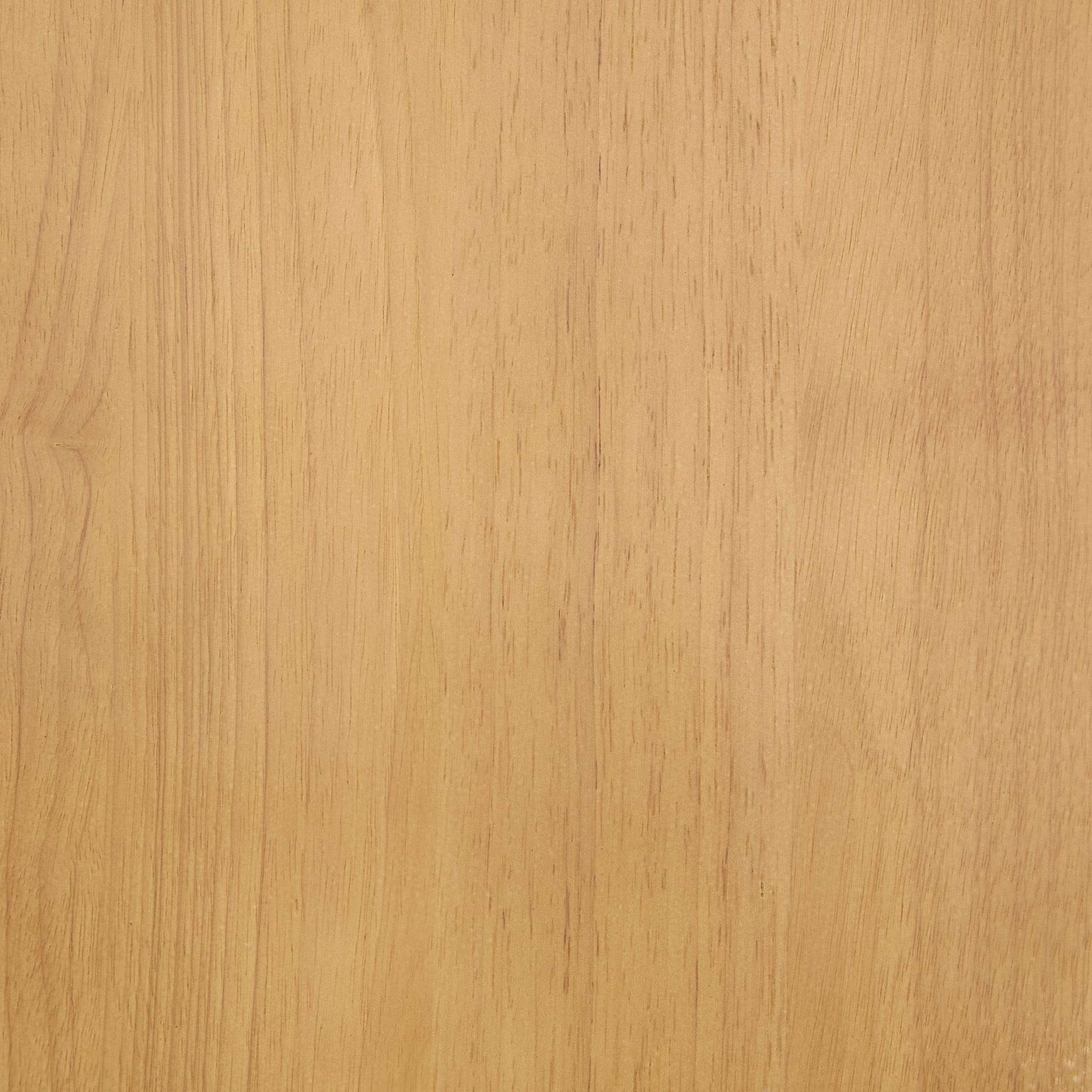 Georgia Set of 2 Dining Chairs - Light Wood - DUSK