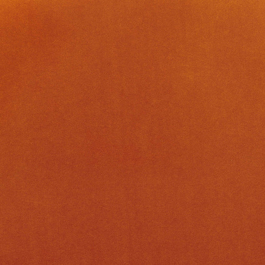 Hattie Set of 2 Dining Chairs - Bright Orange - DUSK