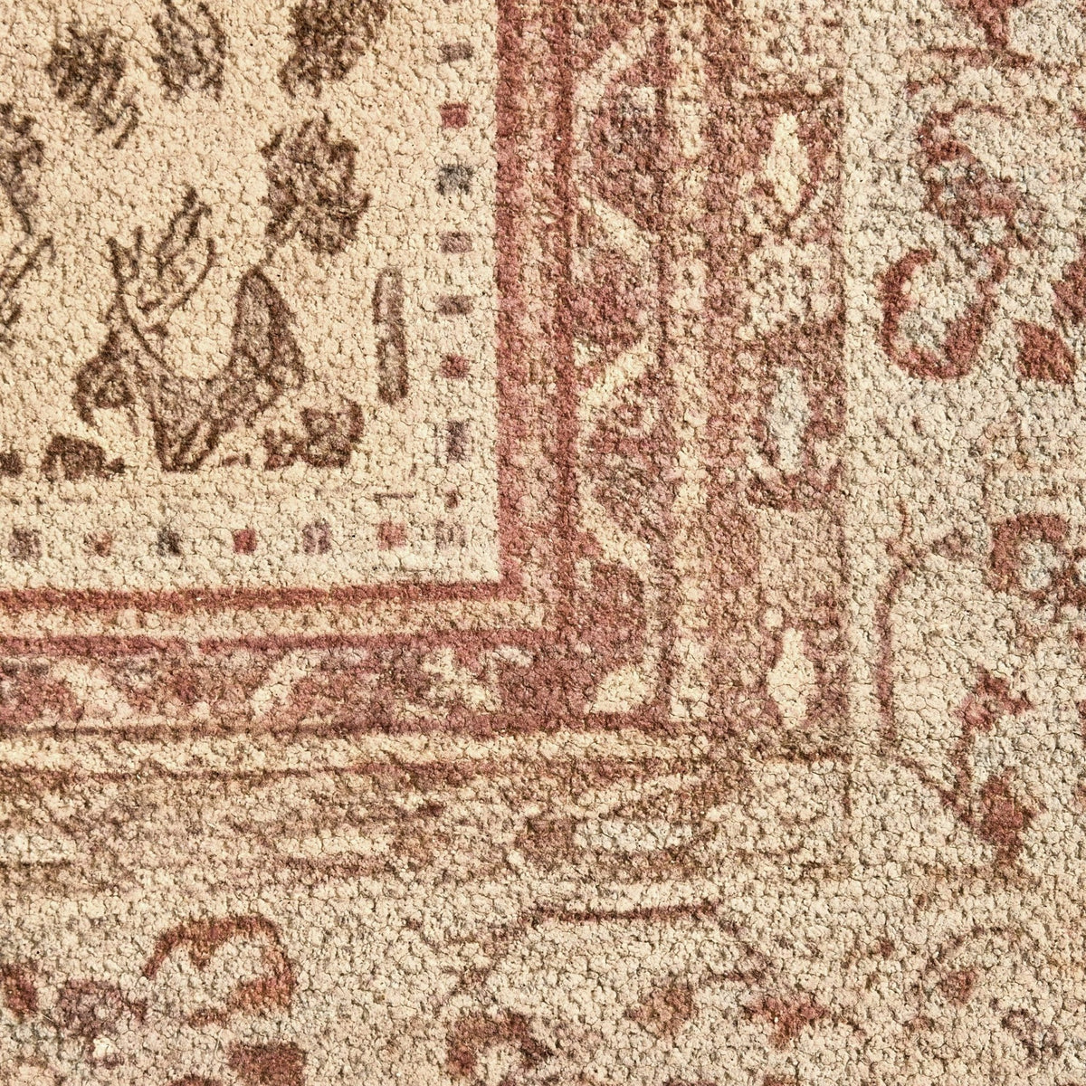Jen Traditional Border Leopard Print Rug - Multi - DUSK