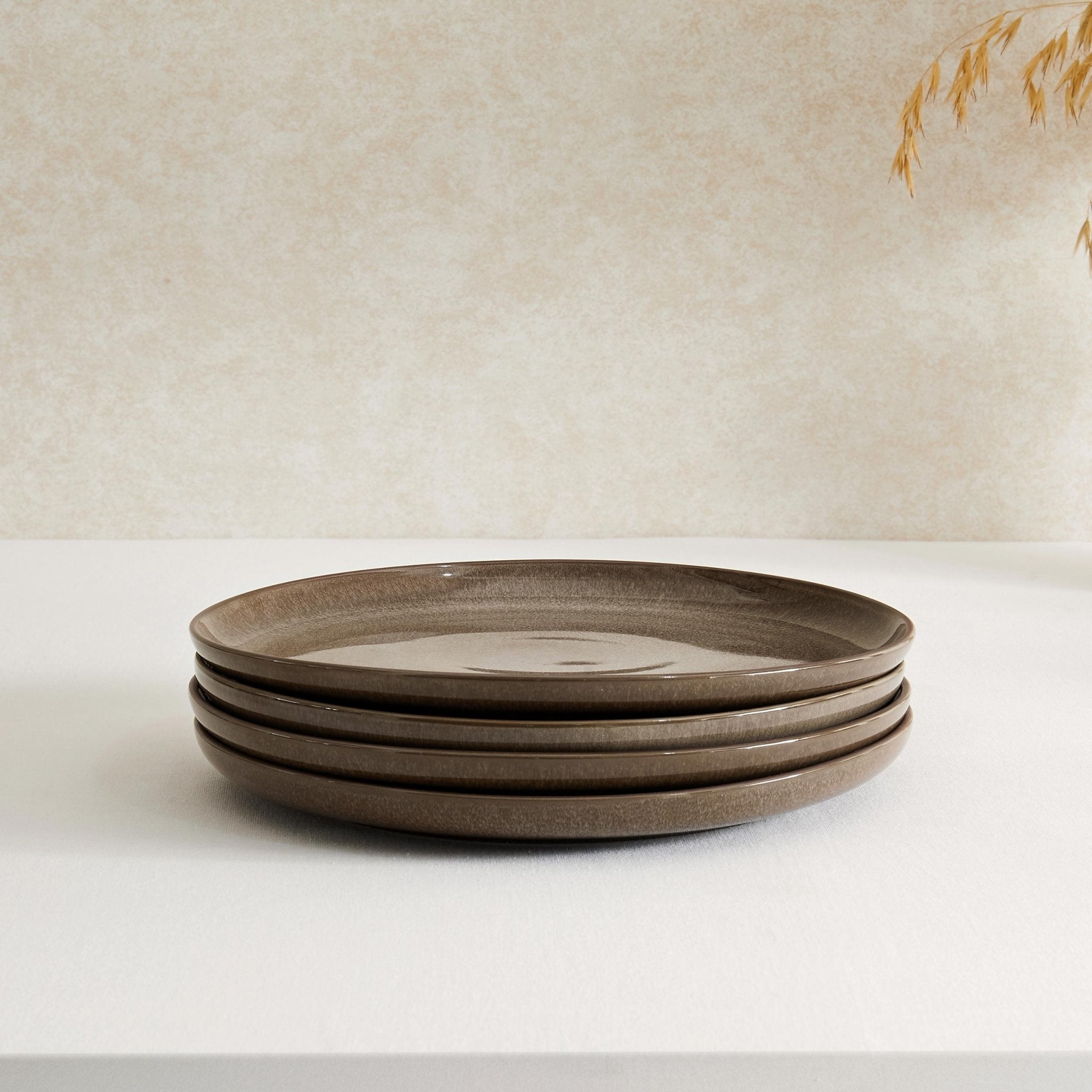 Juniper Reactive Glaze Set of 4 Dinner Plates - Mocha - DUSK
