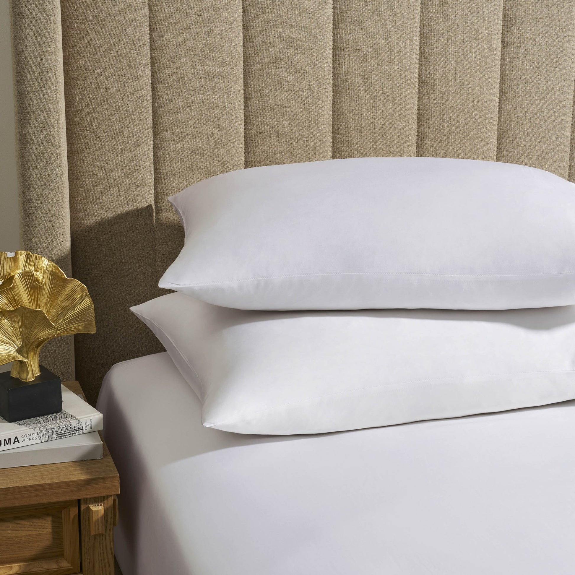Lyla Lyocell Blend Plain Dye Pair of Classic Pillowcases - White - DUSK