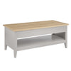 Nell Coffee Table Desk - Grey - DUSK