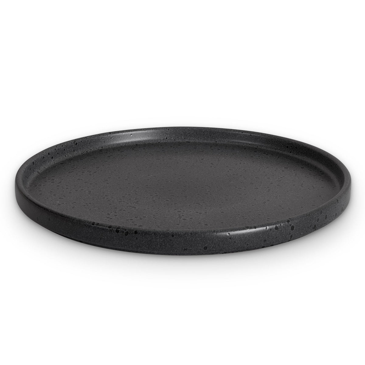 Nori Stoneware Set of 4 Dinner Plates - Black - DUSK
