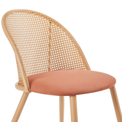 Phoebe Set Of 2 Dining Chairs - Apricot/Natural - DUSK