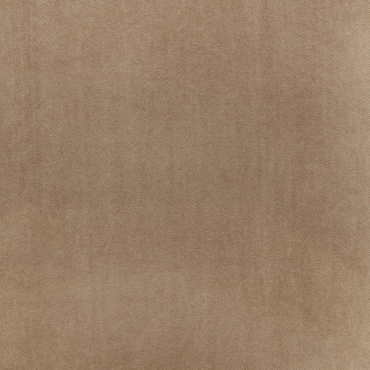 Quinn Chair - Latte - DUSK