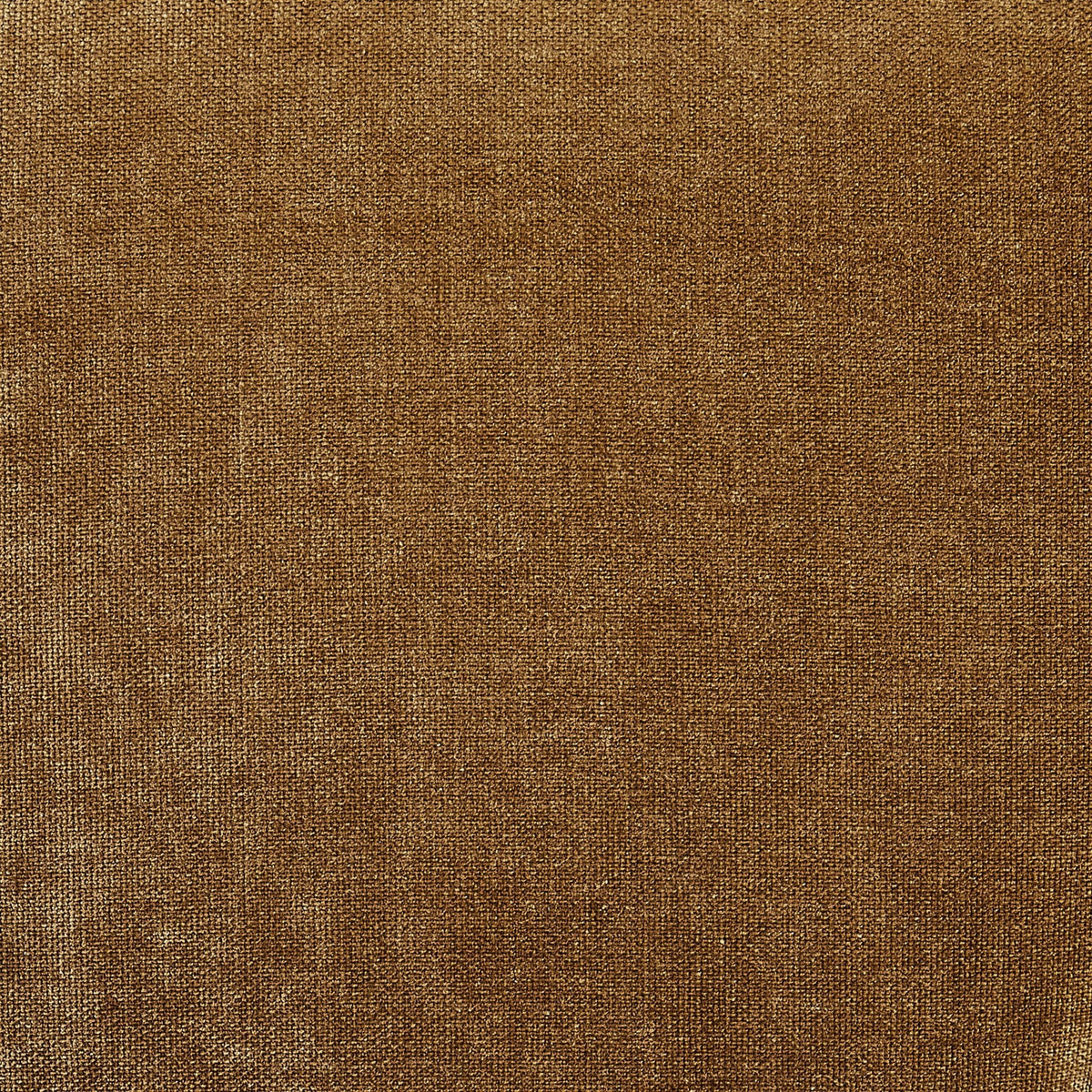 Quinn Dining Chair - Golden Haze - DUSK