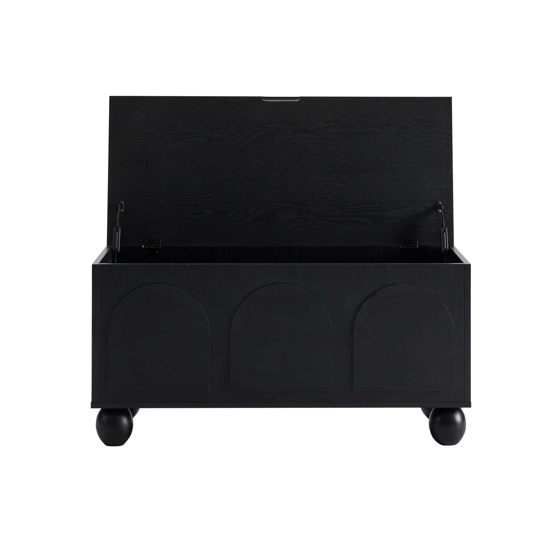 Rachel Arch Front Seated Storage - Black - DUSK