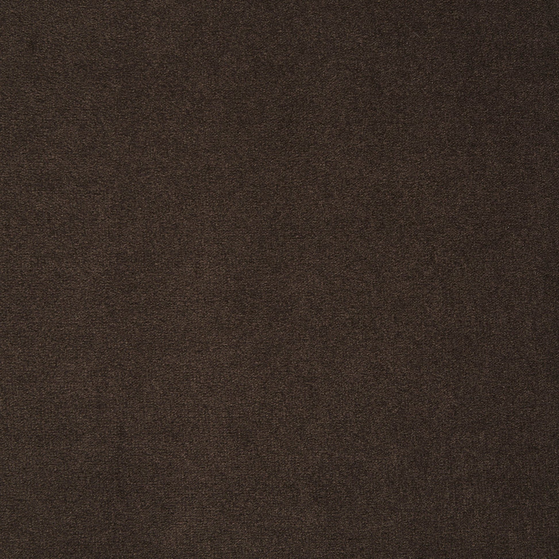 Rae Accent Chair - Cappuccino - DUSK