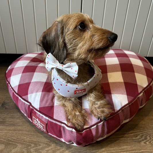 Valentines Dog Harness, Lead, Collar Set - Size Small - White/Red - DUSK