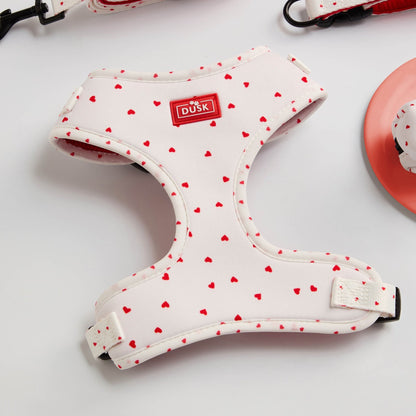 Valentines Love Heart Dog Accessories Set - White/Red - DUSK