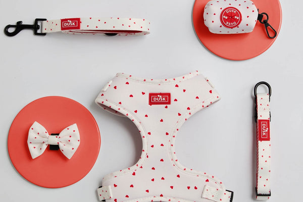 Valentines Love Heart Dog Accessories Set - White/Red - DUSK