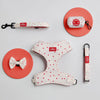 Valentines Love Heart Dog Accessories Set - White/Red - DUSK