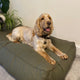 Bailey Pillow Dog Bed - Green - DUSK